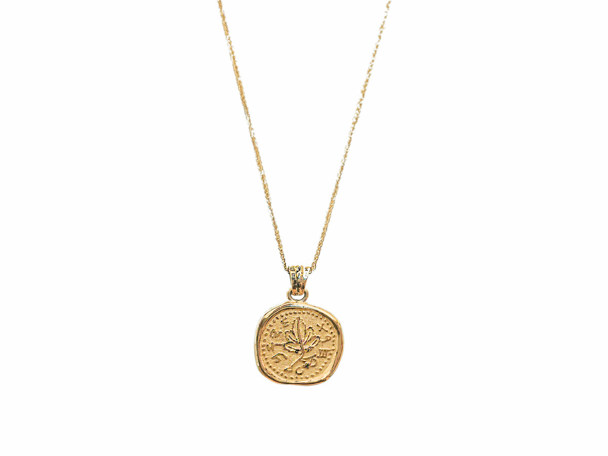 Freedom of Zion Coin - Gold Necklace
