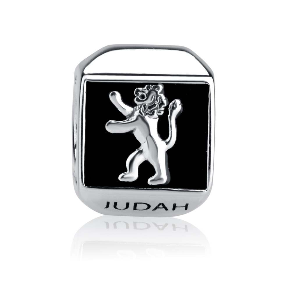CHARM  Lion of Judah