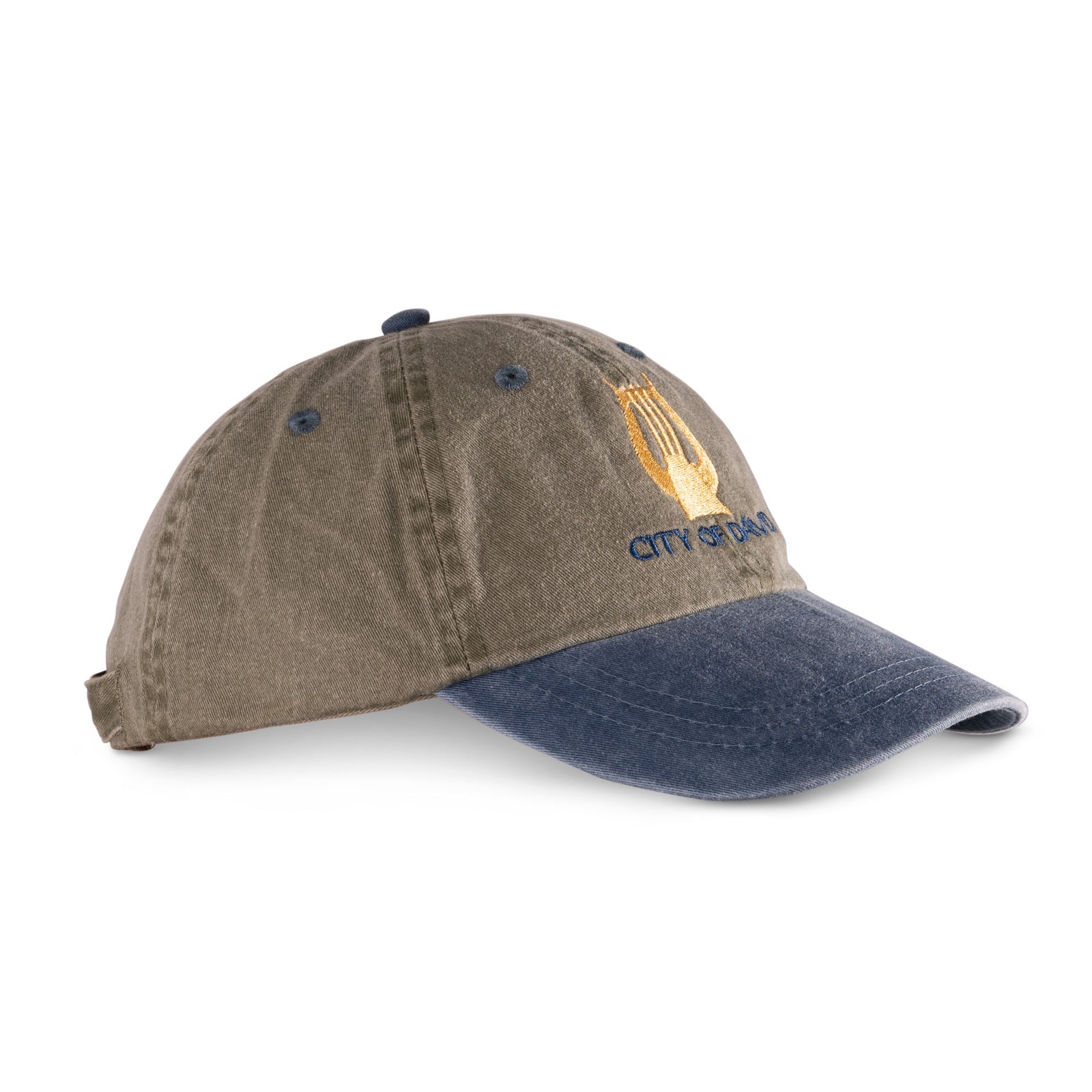 City of David  two colors baseball cap