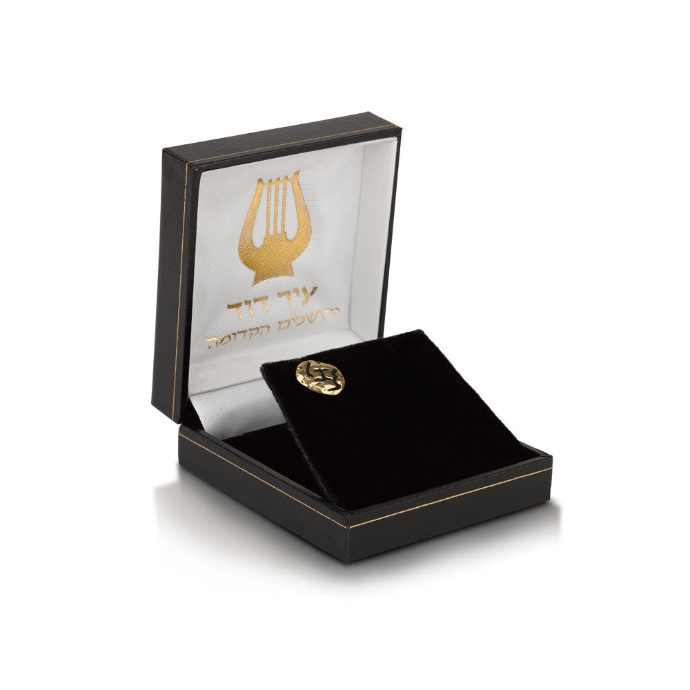 Ancient Hebrew &#39;Good Fortune&#39; Lapel Pin.