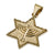 14K Gold Star of David Pendant with Menorah