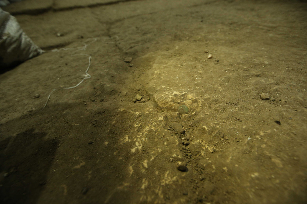 freedom of zion coin